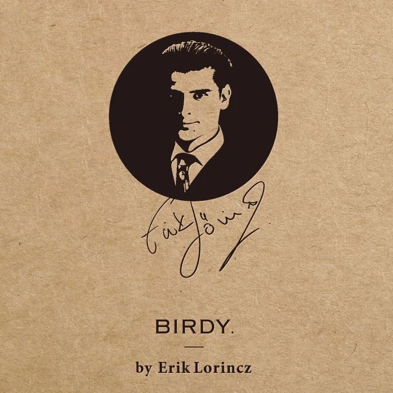 Strainer Hawthorne Birdy® originale giapponese