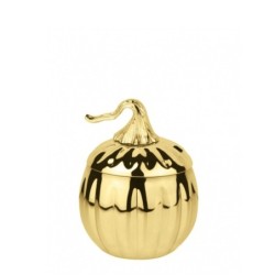 Mug Zucca in acciaio color...